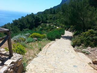 Trekking a Marettimo