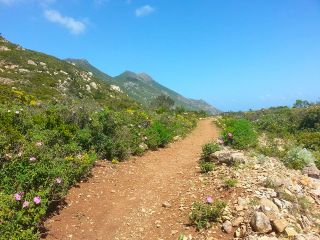 Trekking a Marettimo