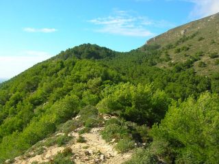 Trekking a Marettimo