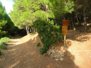 Trekking a Marettimo